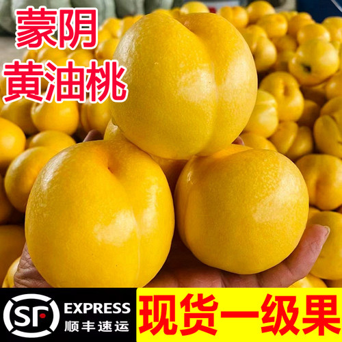 蒙阴现摘现发黄桃水果新鲜桃子孕妇水果油桃多汁新鲜水果黄油桃