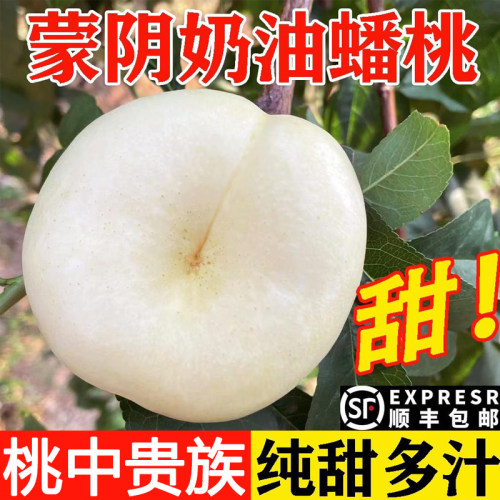 蒙阴奶油蟠桃新鲜水果整箱当季白蟠桃应季孕妇水果油桃扁潘桃山东