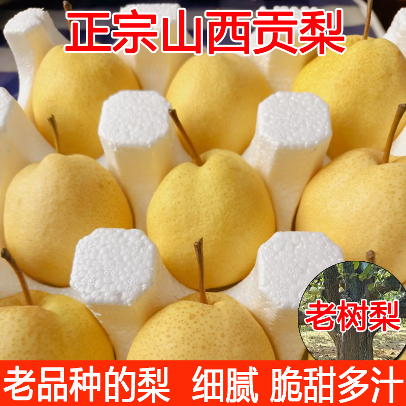 山西贡梨新鲜梨子水果原产地应季现摘现发整箱优质果冰糖蜜梨10斤