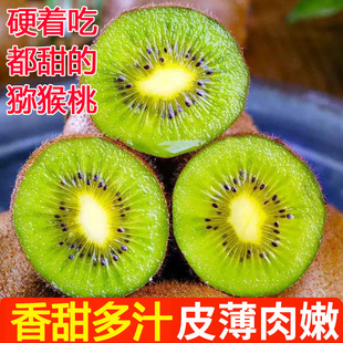 正宗陕西周至绿心猕猴桃新鲜当季 孕妇水果现摘奇异果大果整箱礼盒