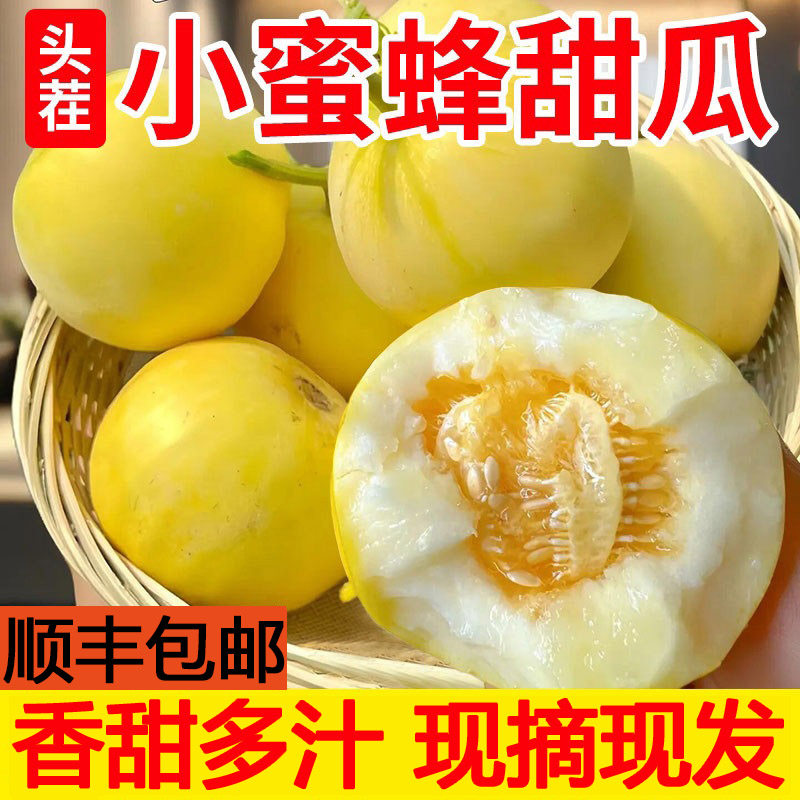 山东头茬小蜜蜂甜瓜星甜蜜罐香瓜甜瓜新鲜水果脆甜小香瓜白梨瓜