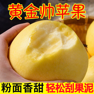 正宗烟台黄元帅苹果新鲜水果应当季粉面黄金帅刮泥丑苹果黄香蕉果
