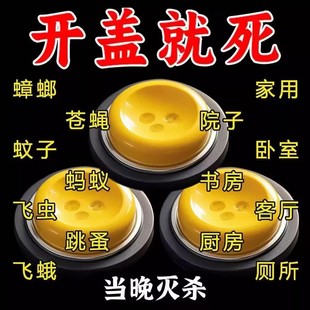 强效蟑螂药出租屋家用宠物孕妇婴儿无毒一窝端厨房蟑螂克星方便贴