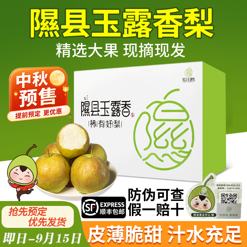 产地优选香梨山西隰县玉露香梨应季整箱水果新鲜包邮送礼顺丰速达