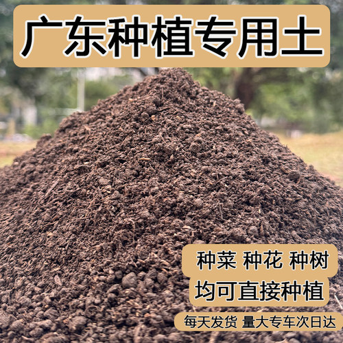 广东种植土种菜专用土种花盆栽种果树通用型土壤有机田园土种植土