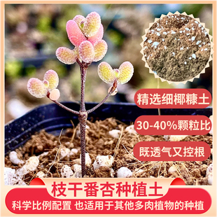 枝干番杏营养土-枝干多肉专用种植土30%颗粒土营养土控根透气