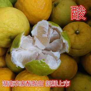 湖南华容酸抛柑野生臭皮柑泡柑酸柑子水果苦柑子水柚子5斤2斤
