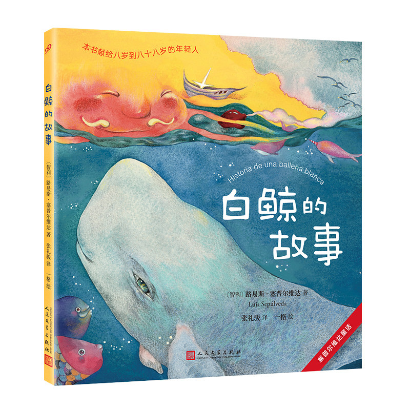 白鲸的故事教海鸥飞翔的猫图片