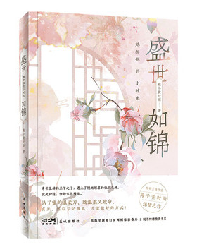 盛世如锦 : 她和他的小时光（身世显赫的王爷之子，遇上了隐姓埋名的仇敌之妹，彼此钟情，但却家仇横亘。）