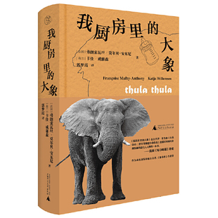 正版现货 赠书签 纯粹·我厨房里的大象 弗朗索瓦丝·莫尔贝-安东尼 卡佳·威廉森/著 郭梦霞/译 非虚构 纪实文学  广西师范大学