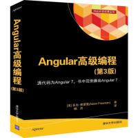 Angular 高级编程(第3版)（Web开发经典丛书）