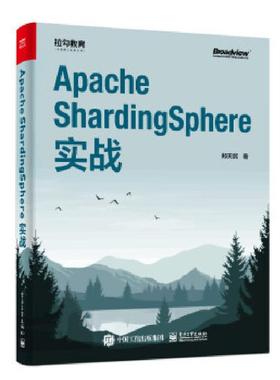 Apache ShardingSphere实战 9787121356544 电子工业出版社