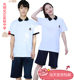 子外套冬裤 东莞校服惠州揭阳光明光正实验中学高中纯棉校服短袖 裤