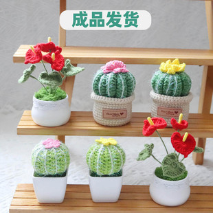 成品手工毛线钩编织红掌仙人掌仿真小盆栽摆件仿真植物盆景饰品