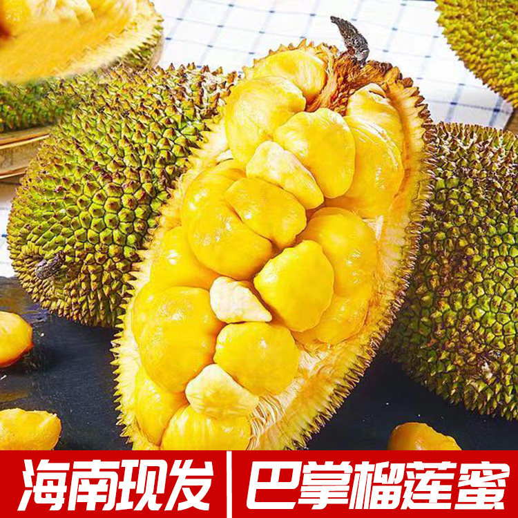 树上熟榴莲蜜精品水果海南三亚新鲜现摘尖蜜拉当季巴掌小个非榴莲