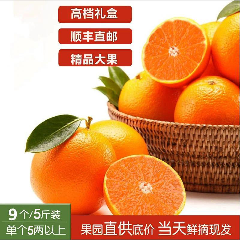 象山红美人好吃爱媛28号高端礼盒