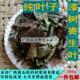 痒漆树寄生 山漆寄生 纯叶干品500g 漆木寄生叶 野生野漆树寄生叶