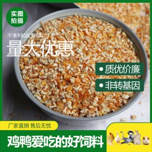 纯玉米碎角喂鸡鸭鹅猪马牛羊兔动物食粮散养禽类饲料宠物钓鱼打窝