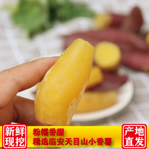 正宗临安天目山小香薯5斤板栗红薯拇指番薯地瓜迷你小山芋新鲜-封面