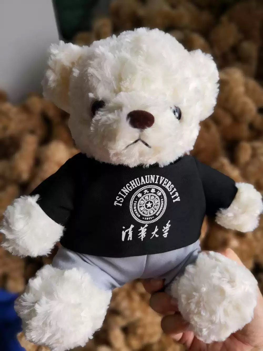 清华熊清华大学纪念品熊校服小熊（可定制其他学校LOGO熊）