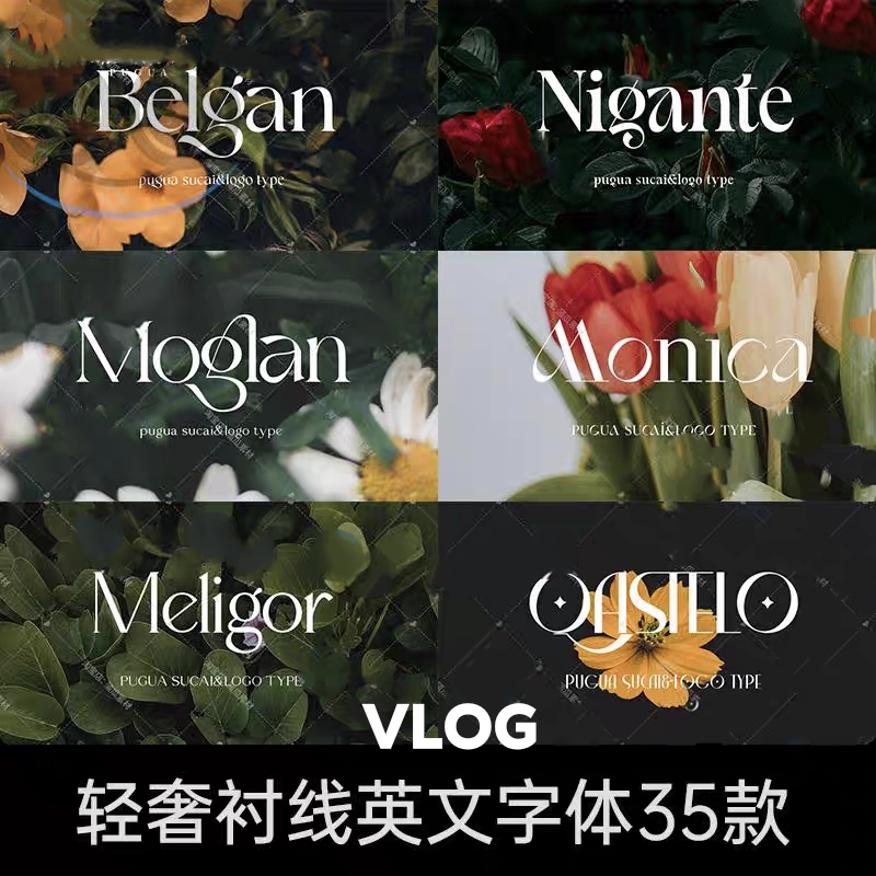 vlog片头素材高级感英文字体包轻奢衬线 fcpx pr procreate达芬奇