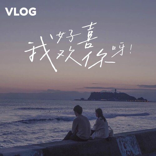 vlog高级感文艺时尚可商用中文字体｜PS｜AI/pr/fcpx/达芬奇/剪映