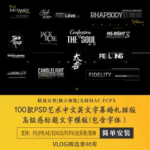 psd艺术ps中文英文字幕婚礼排版高级感标题模板fcpx达芬奇pr字体