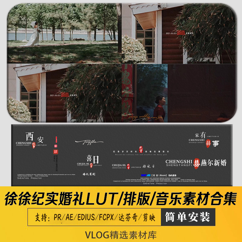 徐徐纪实婚礼跟拍视频lut预设胶片调色滤镜排版音乐字体fcpx/剪映