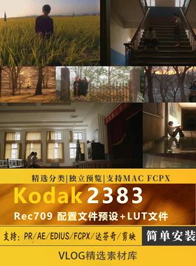 柯达2383lut好莱坞电影胶片调色LUT lr预设人像acr/pr/ps达芬奇