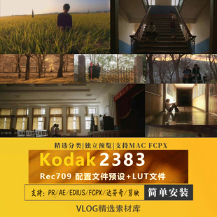 柯达2383lut好莱坞电影胶片调色LUT lr预设人像acr/pr/ps达芬奇
