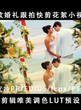 15秒pr婚礼朋友圈预告快剪小视频hlg剪辑调色LUT预设FCPX/EDIUS8