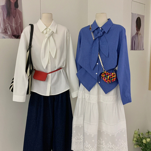 SUSAN-26年早春韩系气质翻领百搭衬衫DS391