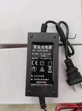 议价全新智能充电器，型号DCSP120150，输入电压100-2