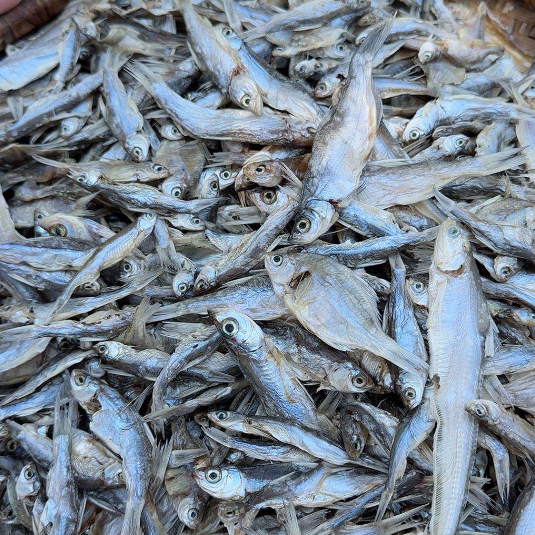 小范爱乡村 订制农家手工自然晾晒小鱼干 杂鱼干 河鱼干 无添加剂