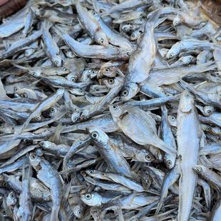 小范爱乡村 订制农家手工自然晾晒小鱼干 杂鱼干 河鱼干 无添加剂