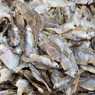 小范爱乡村 订制 新鲜野生鳑鲏鱼干 小河鱼干 咸鱼干 无添加剂