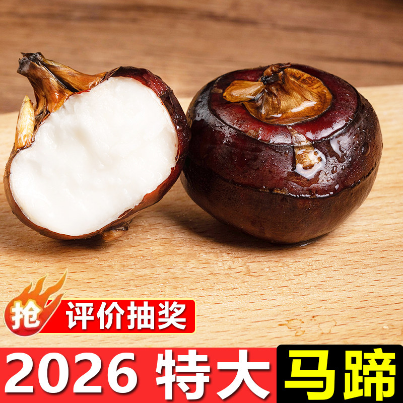 【特大】马蹄广西桂林荔浦荸荠新鲜现挖马蹄时令生鲜农家自种蔬菜