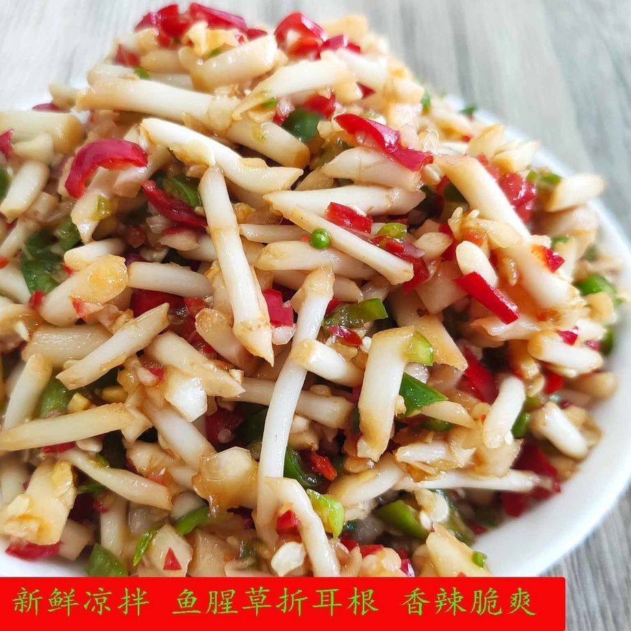 折耳根新鲜凉拌下饭菜泡菜罐装鱼腥草重庆贵州特产四川旗舰店350g