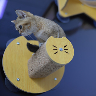 猫爬架吸窗式实木壁挂猫爬架墙上面式猫窝跳台软梯剑麻猫抓柱猫树