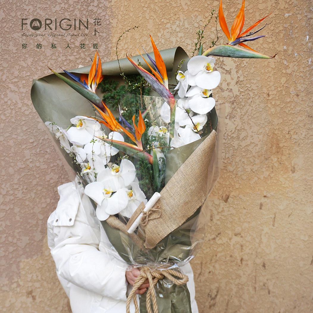 如松天堂鸟蝴蝶兰自然系混花束