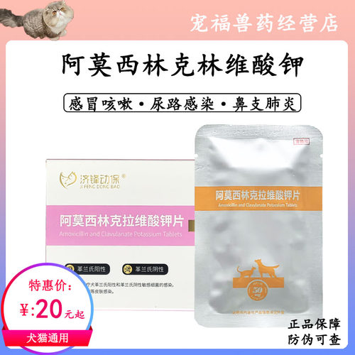 宠物肠道感染尿道支气管炎