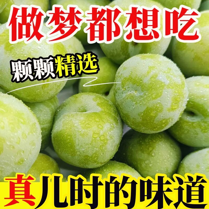 贵州精品李青脆李脱骨李脆酸爽多汁应季冰脆李精选大果李子