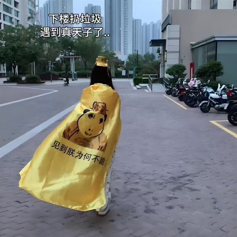 皇帝披风龙图表情黄色斗篷登基当一次皇上沙雕搞怪显眼包抽象龙袍