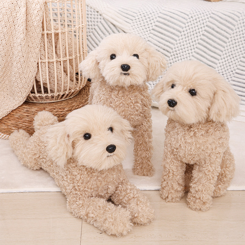 凯特胡赛尼非遗仿真泰迪犬狗狗玩偶毛绒玩具静态摆件拍摄道具模型