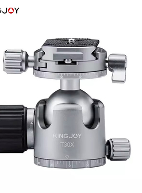 劲捷（KINGJOY）T30X 单反相机拍摄三脚架滑轨铝合金全景球形云台