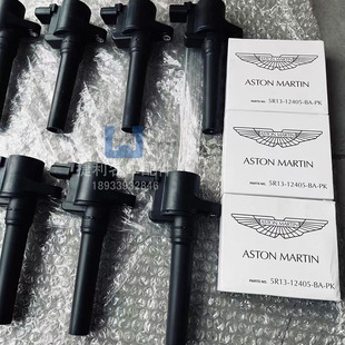 阿斯顿马丁Rapide DB9 DB11 DBX点火线圈 高压包 火花塞 原厂拆车