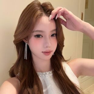 贵感美女闪钻长款流苏耳钉轻奢高级感千金晚礼服耳饰时尚潮流气质