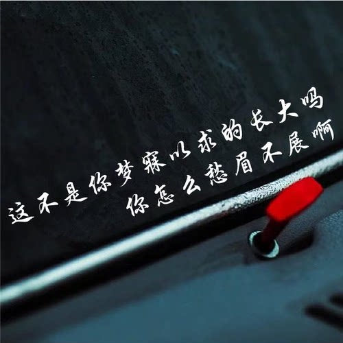 这不是你梦寐以求的长大吗车贴