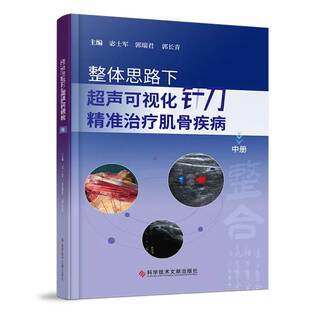 正版书籍 整体思路下超声可视化针刀治疗肌骨疾病:中册宓士军科学技术文献出版社图书  人天书店畅销书排行榜