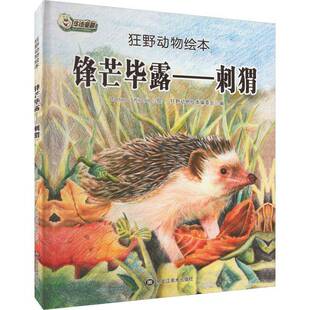 正版书籍 锋芒毕露:刺猬狂野动物绘本委会黑龙江社儿童读物图画故事中国当代 人天书店畅销书排行榜